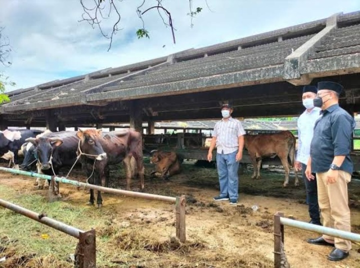 RPH Surabaya Layani Pemotongan Hewan Kurban Sampai Tanggal 2 Juli